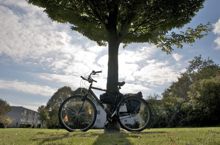 Fahrrad am Baum